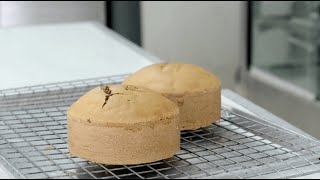 What is an Emulsifier  Knead to Know Basis  BAKERpedia [upl. by Eemaj]