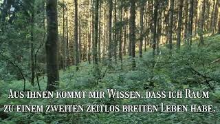 Ich liebe meines Wesens Dunkelstunden  Rainer Maria Rilke  1899 [upl. by Yenots967]