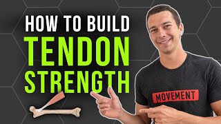 The Key to Building Strong Tendons  The Science of Tendon Training [upl. by Seuqramed684]