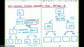 Non Dysjunction of Meiosis I and II Made simple [upl. by Eiramlatsyrk]