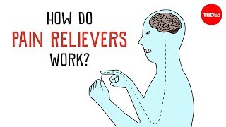 How Do Pain Relievers Work  George Zaidan [upl. by Drofiar565]