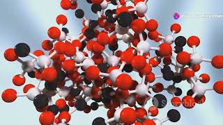 SEM Spectra of Adsorbent Before and After Adsorption [upl. by Asseral]