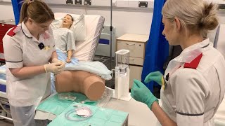 Catheterisation simulation with MSc Nursing students [upl. by Irita]