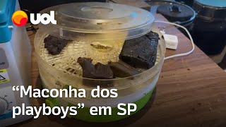 Maconha dos playboys invade baladas da elite de São Paulo com cigarros a R 500 [upl. by Riocard]