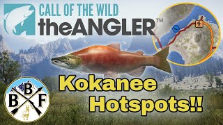 Hotspot Guide Kokanee Salmon  Plus Hook Size Bait and Lure  Call of the Wild theAngler [upl. by Shig]