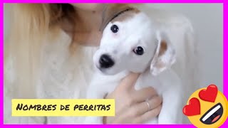 NOMBRES DE PERRITAS🐶Los más BONITOS y ADORABLES💖Listado de nombres para perras cachorras [upl. by Jessy]