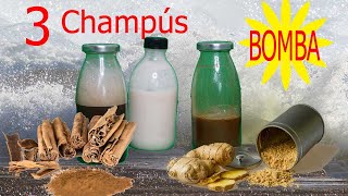 Champú BOMBA PARA EL CRECIMIENTO del cabello – 3 shampoo de JENGIBRE PARA EL CRECIMIENTO del pelo [upl. by Pillsbury107]