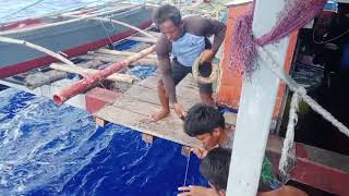 fishing catching Dorado fish in pacefic ocean 🌊🌊🌊 [upl. by Chandra]