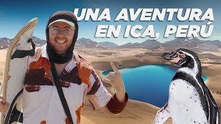 Una Aventura en PERÚ Oasis de Huacachina amp Paracas 🇵🇪 [upl. by Yajiv]