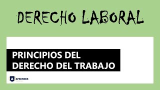 Principios del Derecho Laboral [upl. by Archambault78]