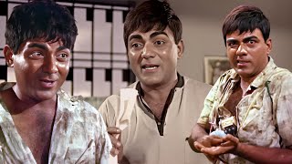 Mehmood Back 2 Back Comedy Scenes 🤣🤣  DO KALIYAN  मै हमेशा दुम की तरह चिपक के साथ में रहता हूँ 😆 [upl. by Burch]