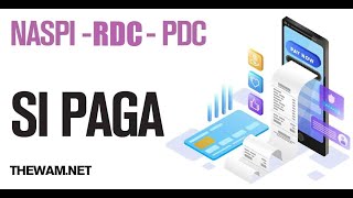 👛 PAGAMENTI RDC PDC e NASPI in 5 giorni [upl. by Notlef]