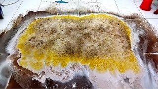 Deep cleaning with New Method ll Satisfying carpet cleaning ASMR [upl. by Wolsniw]