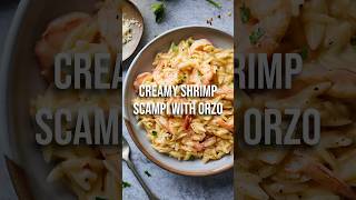 Creamy Shrimp Scampi with Orzo [upl. by Amy]