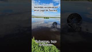 Increíble recuperación del Lago de Texcoco mexicomaravilloso [upl. by Ellivnarg]