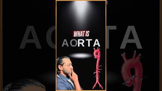 What is Aorta [upl. by Eidnas]