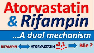 Atorvastatin and Rifampin interaction [upl. by Rai355]