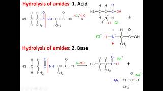 Hydrolysis of polyamides [upl. by Oler]