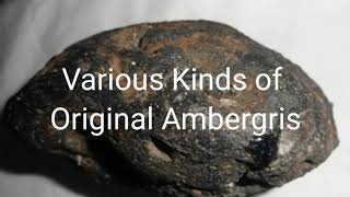 Various Kinds of Original Ambergris newssahaba1992 [upl. by Shelley]