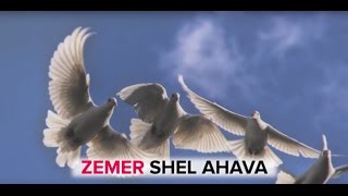 Erev Shel Shoshanim Lyrics Video Hebrew love song [upl. by Aysahc]