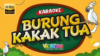 BURUNG KAKAK TUA KARAOKE TANPA VOKAL 🎵 LAGU ANAK INDONESIA [upl. by Avan]