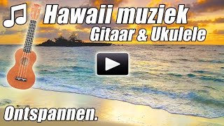 Hawaiian Ontspannen Ukelele Gitaar Instrumentaal Ontspannen Hawaii Volksliederen tropische studie [upl. by Atterol]