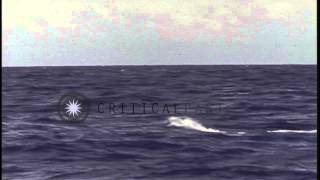 Periscope of the submarine cutting through water as it submerges in the Pacific OHD Stock Footage [upl. by Esadnac]