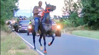 Big Black American Saddlebred of Little River Ridaz [upl. by Clarabelle]