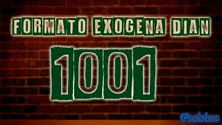 Como diligenciar formato 1001 información exógena DIAN TUTORIAL [upl. by Bull714]