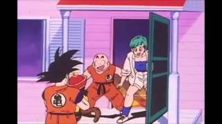 Dragonball Z Episode 1 recap toonami [upl. by Drofdeb]