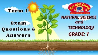 Ace your Natural Science and Technology Grade 7 Term 1 Exam Expertapproved QampA 2024  Watch now [upl. by Lletnwahs476]