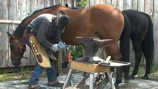 Horse Shoeing Demonstration at Haying In The 30s [upl. by Atsahc65]