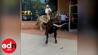 Only in America Cowboy Lassoes Rampaging Longhorn in Downtown Colorado Springs [upl. by Marou]