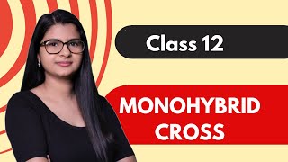 Class 12  Monohybrid Cross  HINDI  Under 6 mins [upl. by Benedikt570]