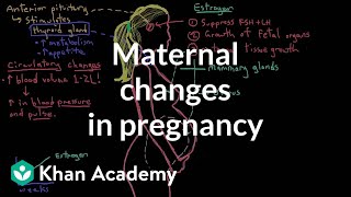 Maternal changes in pregnancy  Reproductive system physiology  NCLEXRN  Khan Academy [upl. by Mavis373]