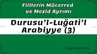 Mücerred ve Mezid Fiiller  Durusu’lLuğati’lArabiyye 3Cilt 16 Ders  Medine Arapça Hazırlık [upl. by Taimi]