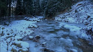 Izletište u Rožajama ❄️ Ognjiste [upl. by Foley]