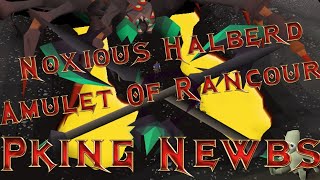 50s W Granite Maul Noxious Halberd Pking W Amulet Of Rancour  Oldschool Runescape Pking [upl. by Nauqahs85]