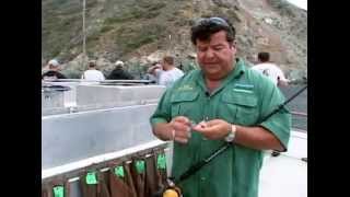 Dan Hernandez on Howto Pin on a Live Squid on a Bucktail Jig [upl. by Ahtnicaj]