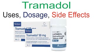 Is Tramadol Dangerous Recorded Livestream  Auburn Medical Group [upl. by Ettedanreb757]