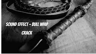 Sound Effect  Bull Whip Crack [upl. by Annavaj]