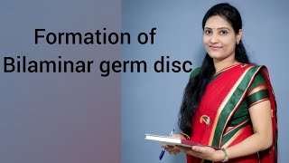 Formation of bilaminar germ disc and development of Blastocyst [upl. by Llerrud]