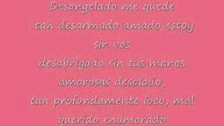 Floricienta QUE SE SIENTE Lyrics [upl. by Clywd]