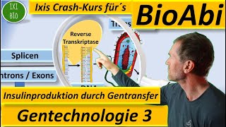 Gentechnik 3  Gentransfer  gentechnische Insulinherstellung materialgestützt  Gentechnologie [upl. by Ambrosi]