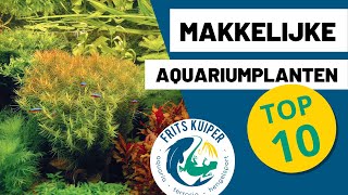 Makkelijke planten in je aquarium TOP 10  FritsKuiperTV [upl. by Peta]