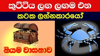 කටක ලග්න පලාඵල  Kataka Lagna Palapala  Yathura Astrology [upl. by Naloj687]