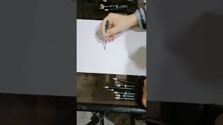 How to make drawing with cheap ballpen ballpoint cheap ballpoint drawing drawingsketchballpoint [upl. by Vachil]