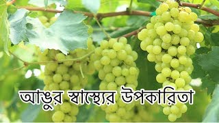 আঙুর খাওয়ার উপকারিতা  Angur khawar upokarita  angur er gunagun [upl. by Dao978]