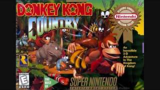 Donkey Kong Country Funky Kongs Theme Song [upl. by Tallou]