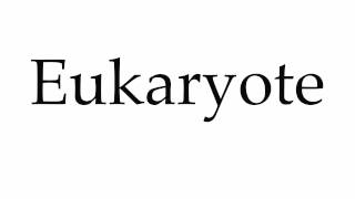 How to Pronounce Eukaryote [upl. by Linneman]